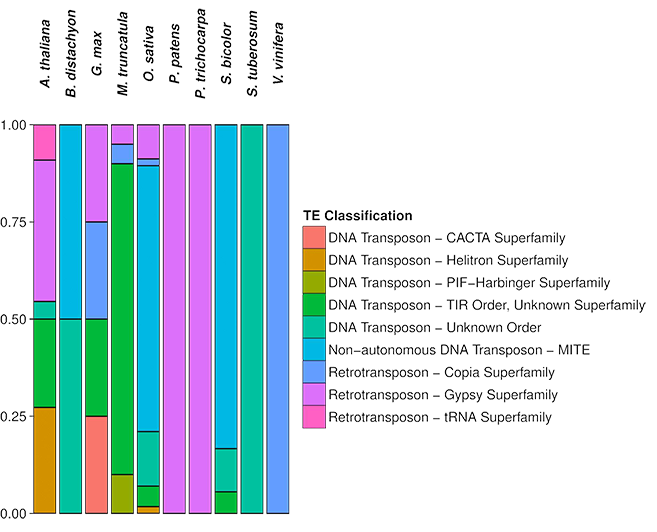 Te Classification